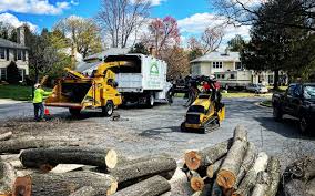 Best Lawn Renovation and Restoration  in Iselin, NJ