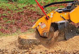 How Our Tree Care Process Works  in  Iselin, NJ
